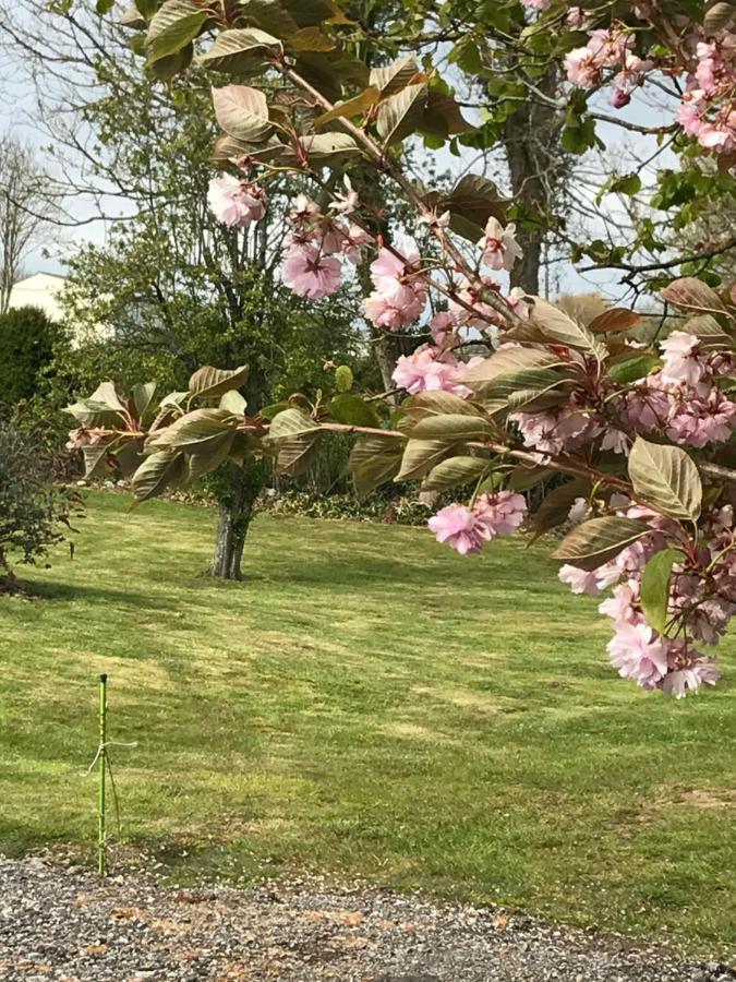 Gite Dans Le Pre Hesdin L'Abbe Carly Exterior foto